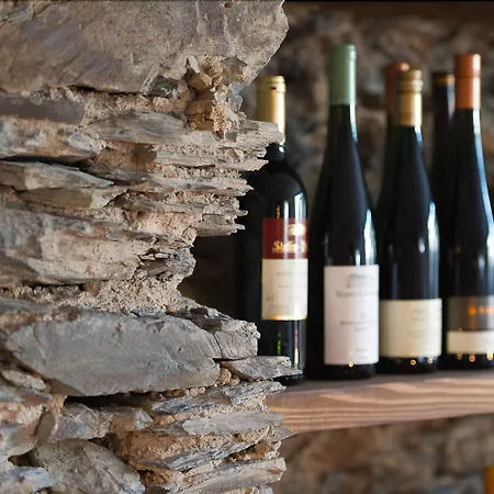 Burgblickhotel Hotel 3*