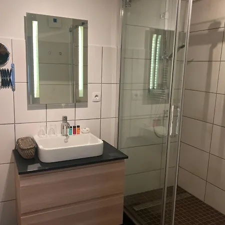 호텔 Burgblickhotel 3*