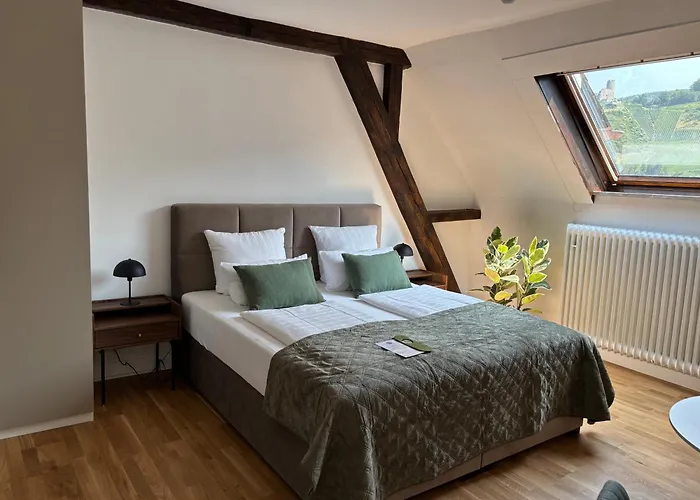 호텔 Burgblickhotel