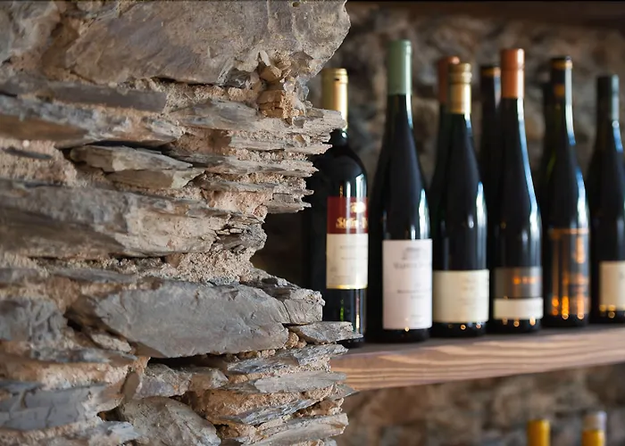 Burgblickhotel מלון 3*