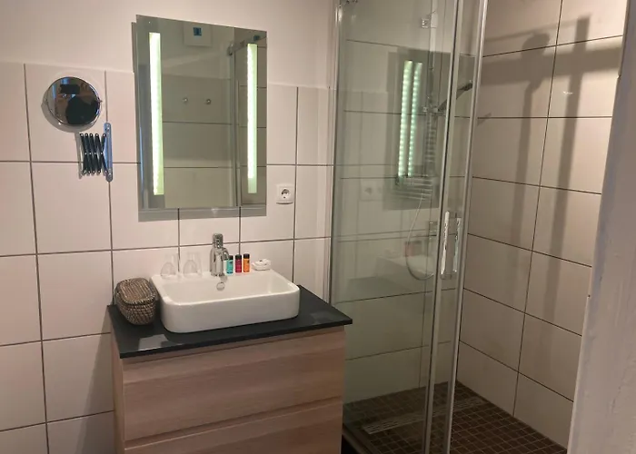 מלון Burgblickhotel 3*